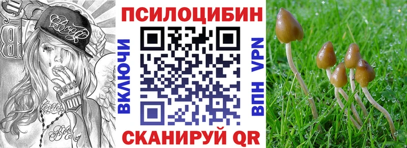 OMG вход  Тарко-Сале  Галлюциногенные грибы ЛСД 